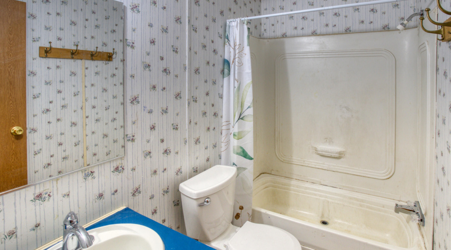 Paxmanphoto_PAX_5238