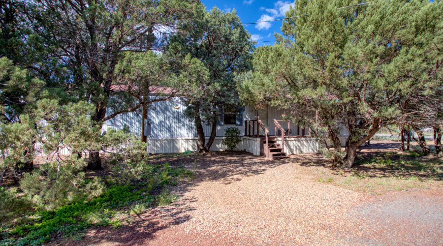 Paxmanphoto_PAX_5220