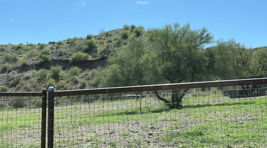 separate fenced areas