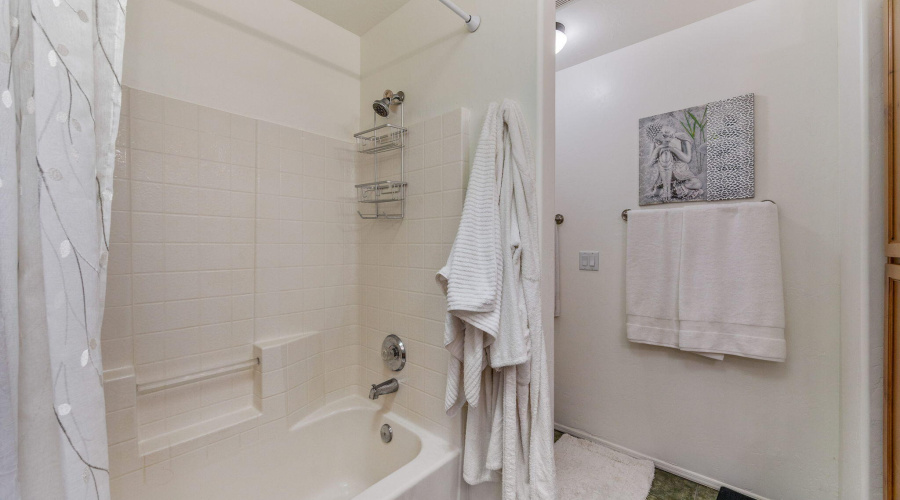 Primary bath with tub/shower