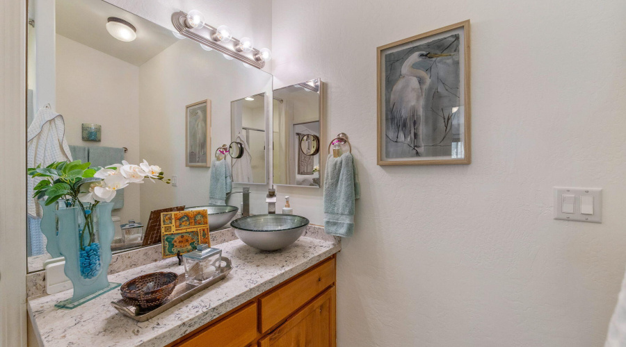 Custom sinks in guest bath
