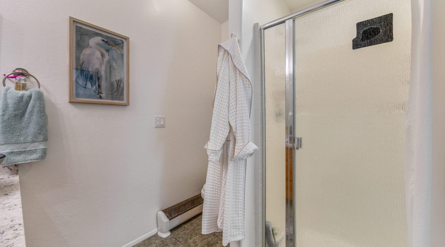 Walk in shower in guest bath