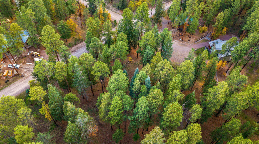 Parcel10172073-AlpineAZ-9