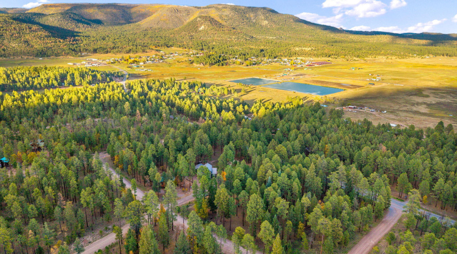 Parcel10172073-AlpineAZ-2