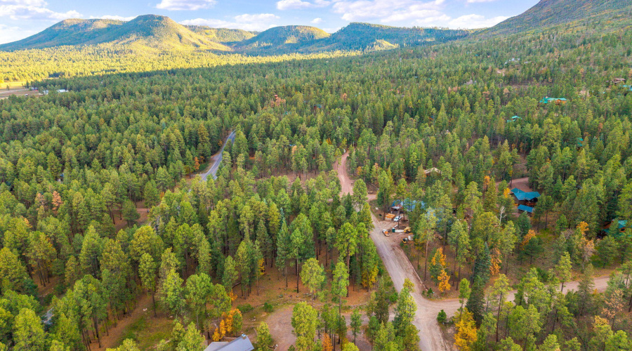 Parcel10172073-AlpineAZ-4