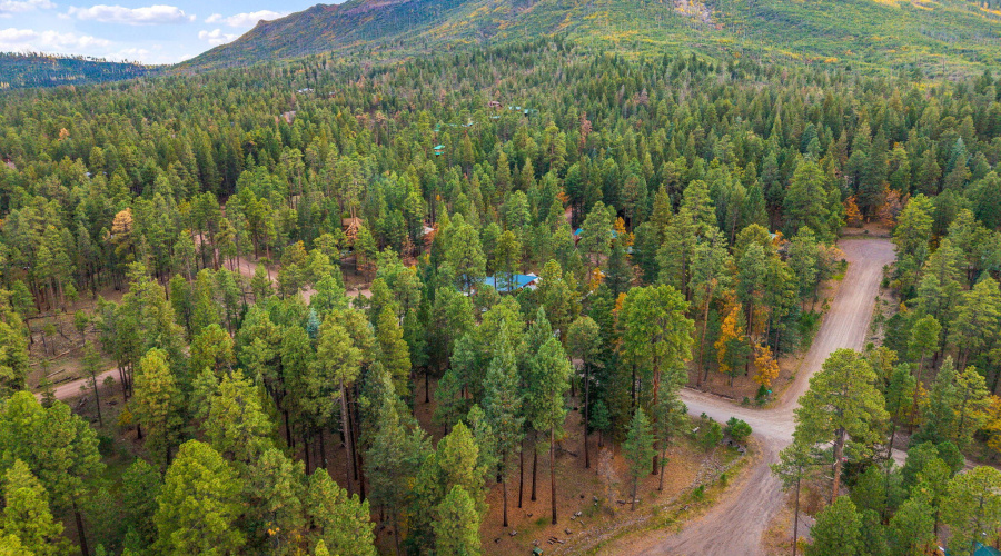 Parcel10172073-AlpineAZ-11