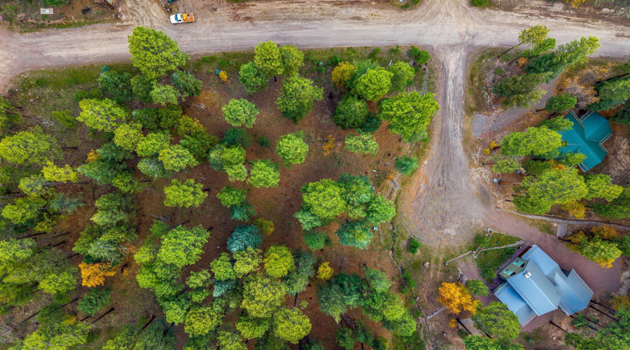 Parcel10172073-AlpineAZ-5