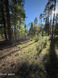 7 2190, Alpine, Arizona 85920, ,Land,For Sale,2190,258231