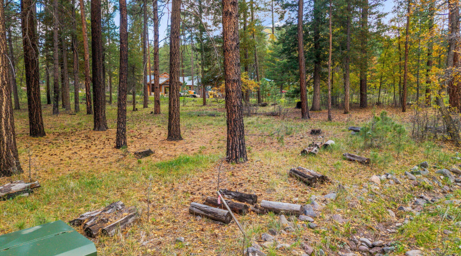 Parcel10172073-AlpineAZ-12