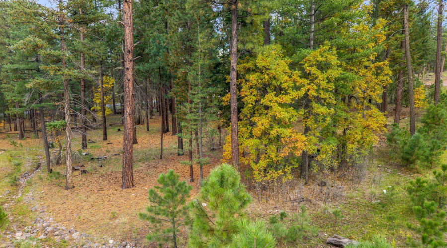 Parcel10172073-AlpineAZ-13