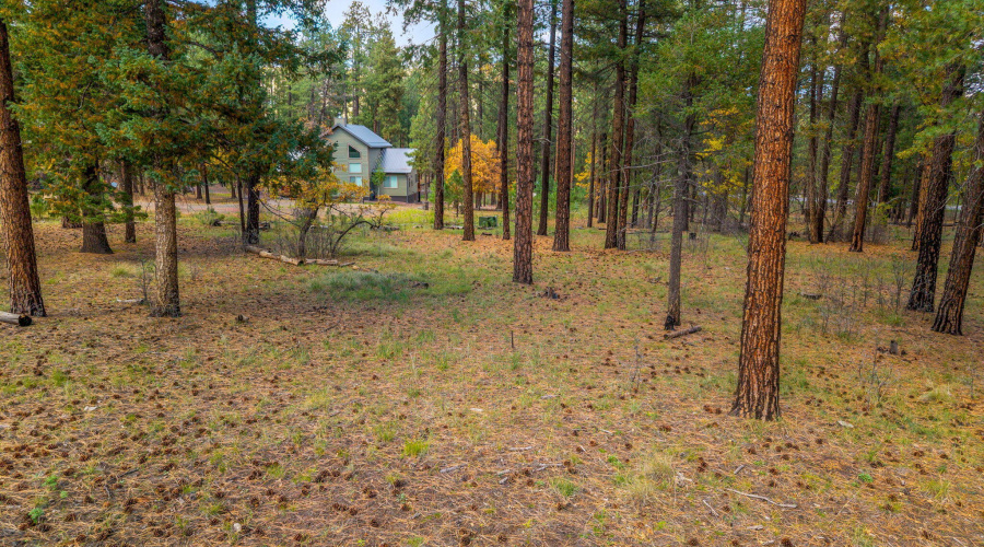 Parcel10172073-AlpineAZ-14