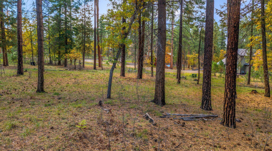 Parcel10172073-AlpineAZ-15