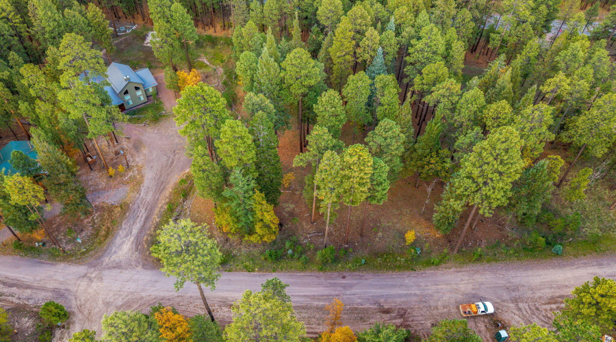 Parcel10172073-AlpineAZ-7