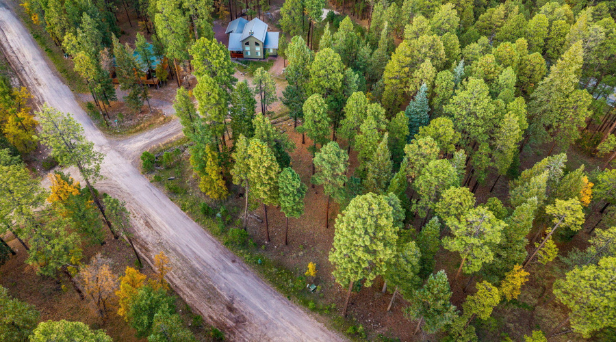 Parcel10172073-AlpineAZ-8