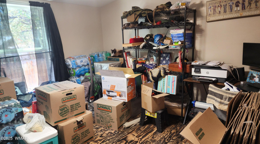 TRACEE REYNOLDS (19)