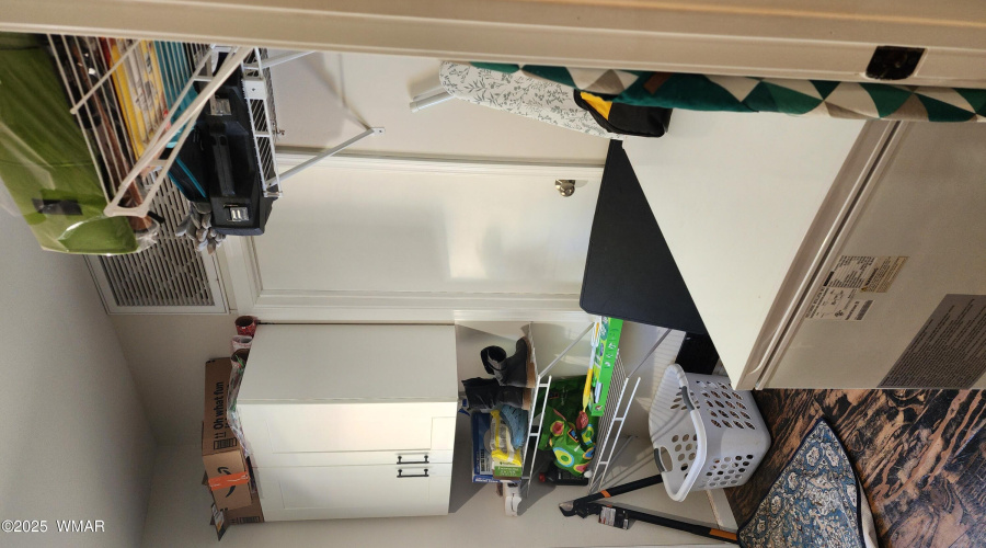 TRACEE REYNOLDS (22)