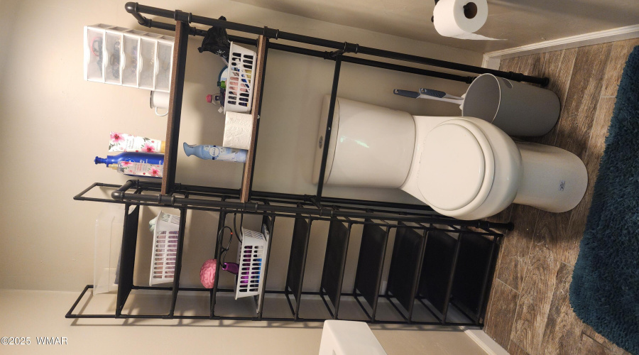 TRACEE REYNOLDS (26)