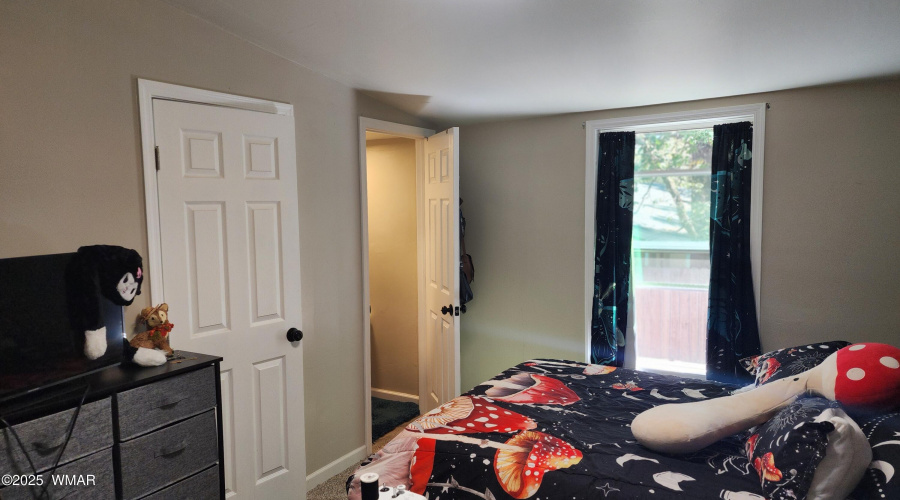 TRACEE REYNOLDS (29)