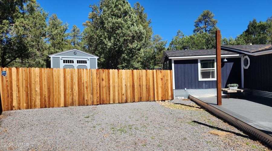 TRACEE REYNOLDS (34)