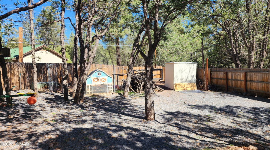 TRACEE REYNOLDS (42)