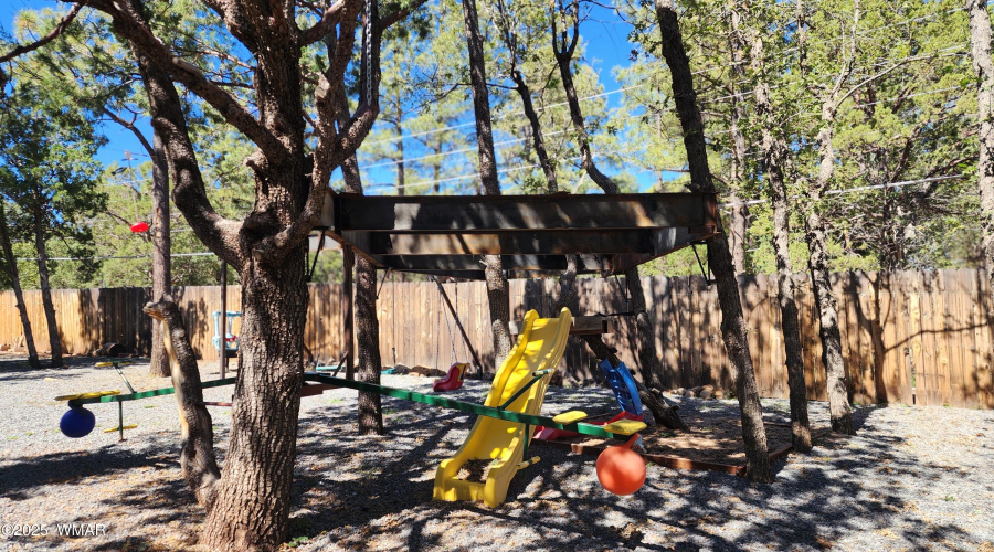 TRACEE REYNOLDS (43)