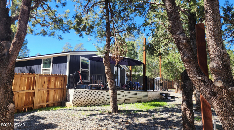 TRACEE REYNOLDS (44)