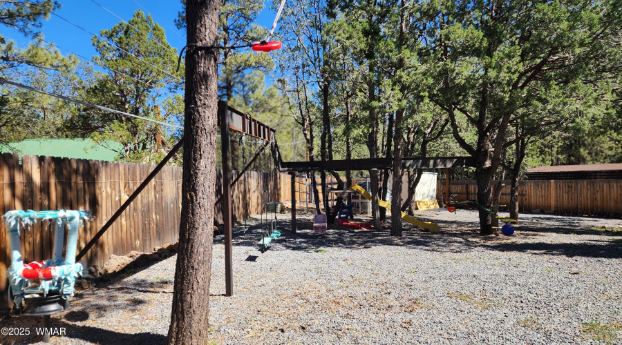 TRACEE REYNOLDS (47)