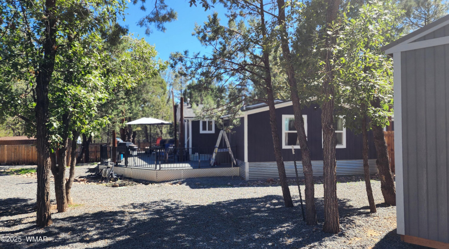 TRACEE REYNOLDS (49)