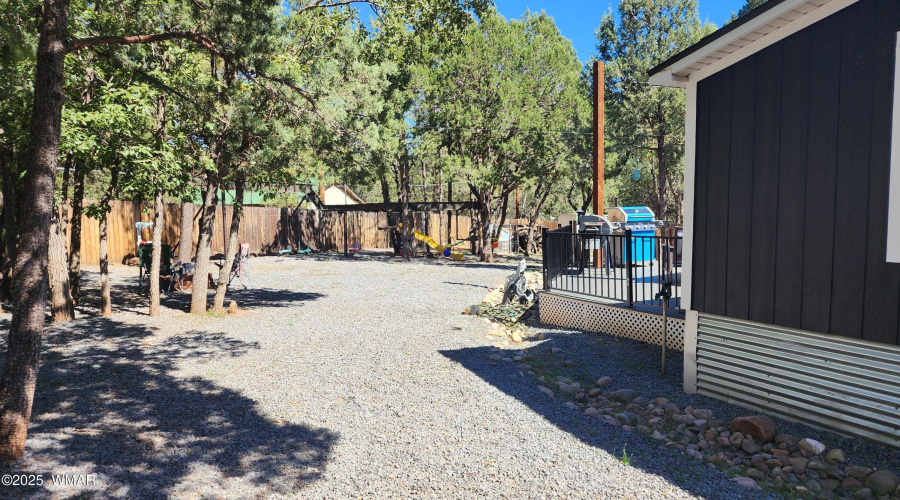 TRACEE REYNOLDS (52)