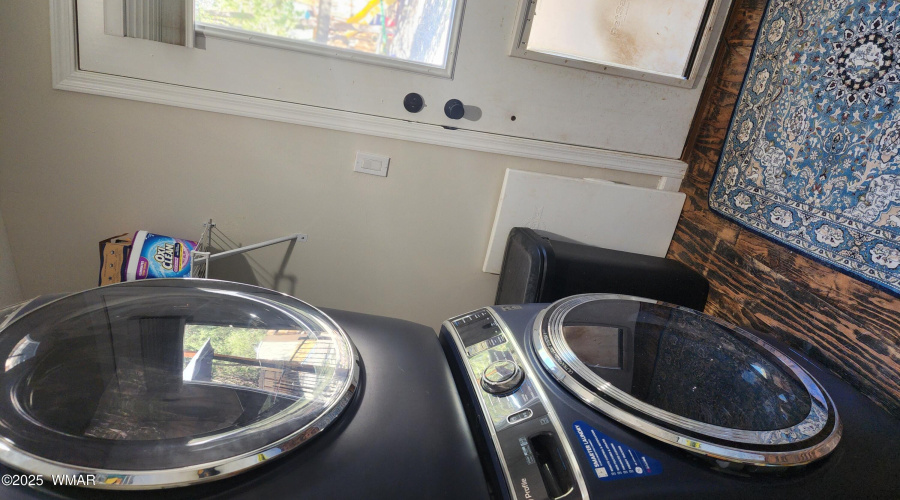 TRACEE REYNOLDS (54)