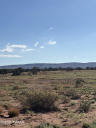 A County Road 5576, Concho, Arizona 85924, ,Land,For Sale,County Road 5576,258242