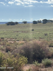 E N CR 5576, Concho, Arizona 85924, ,Land,For Sale,N CR 5576,258240