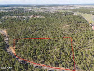 TBD Woolford, Show Low, Arizona 85901, ,Land,For Sale,Woolford,258238