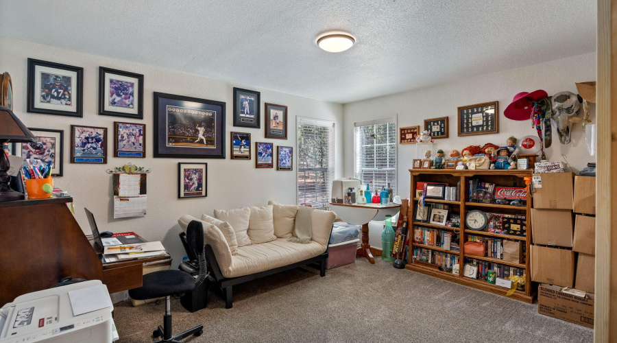 4852CubLakeRd-ShowLow-AZ-17