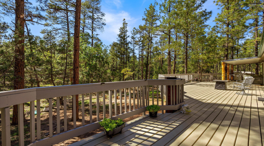 4852CubLakeRd-ShowLow-AZ-18