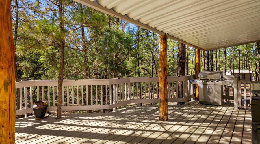 4852CubLakeRd-ShowLow-AZ-19