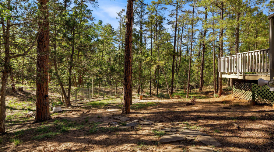 4852CubLakeRd-ShowLow-AZ-20