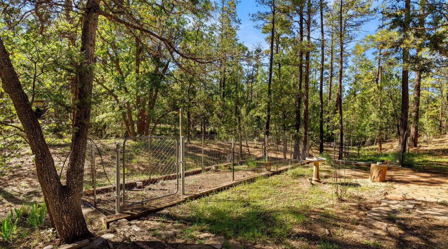 4852CubLakeRd-ShowLow-AZ-21