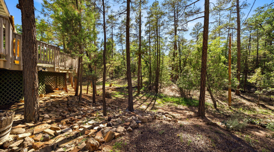 4852CubLakeRd-ShowLow-AZ-22