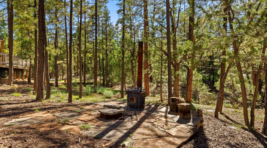 4852CubLakeRd-ShowLow-AZ-23