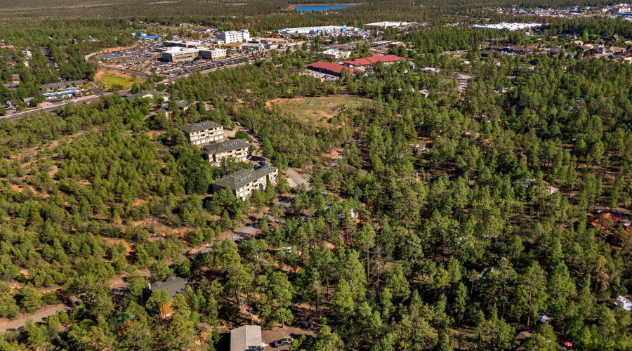 4852CubLakeRd-ShowLow-AZ-34