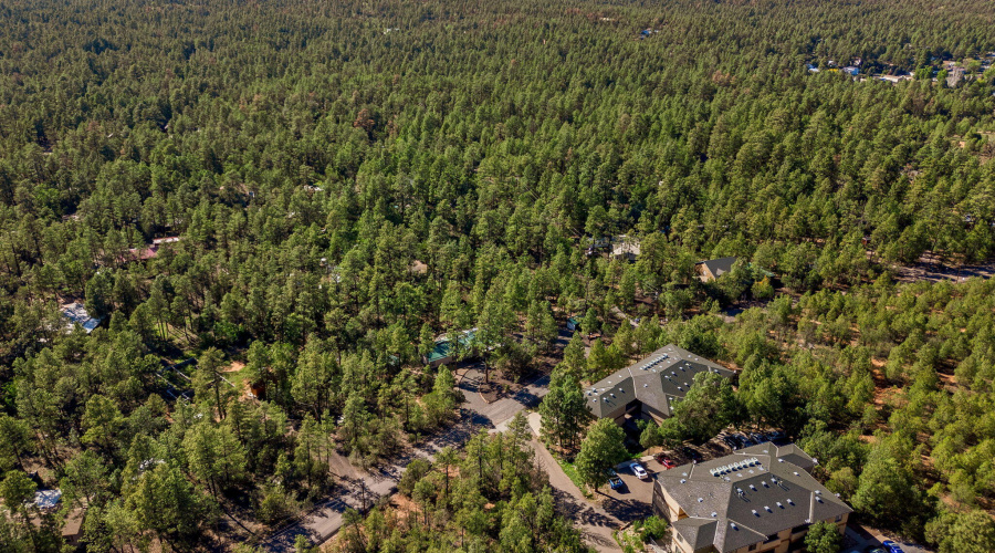 4852CubLakeRd-ShowLow-AZ-35