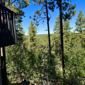 amazing views