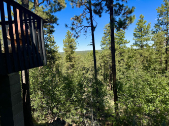 1725 TURKEY MOUNTAIN Road, Happy Jack, Arizona 86024, Bedrooms, ,Residential,For Sale,TURKEY MOUNTAIN,92971