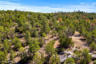 3654 Zane Grey Trail, Overgaard, Arizona 85933, ,Land,For Sale,Zane Grey Trail,92976