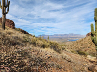 249 Old Hwy 188, Tonto Basin, Arizona 85553, ,Commercial,For Sale,Old Hwy 188,91971