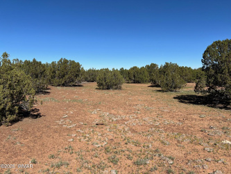 8656 Bonito Drive, Show Low, Arizona 85901, ,Land,For Sale,Bonito,258253