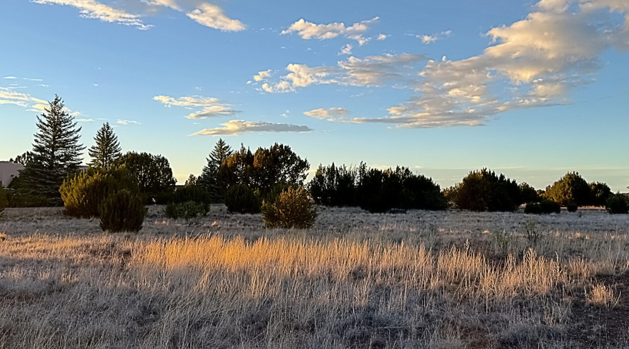 1930 Silver Lake Blvd