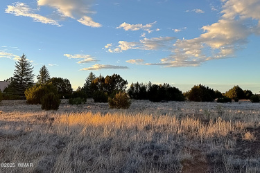 1930 Silver Lake Boulevard, Show Low, Arizona 85901, ,Land,For Sale,Silver Lake,258257