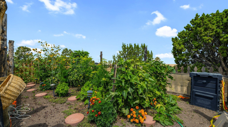 1158SKyCrestDr-Eagar-AZ-38